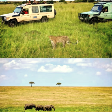 肯尼亚+坦桑尼亚+埃塞俄比亚+津巴布韦+赞比亚+博茨瓦纳+纳米比亚+南非+乌干达+卢旺达37日34晚跟团游
