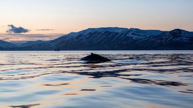 9-Day Iceland Explorer Tour·Waterfalls, Glaciers and Volcanic Wonders