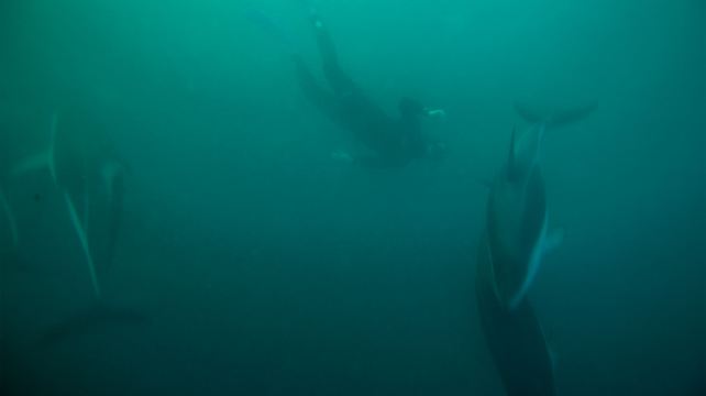 8-Day Classic Jordan Ancient Cities and Desert Adventures Tour from Amman·Jerash Governorate, Dead Sea, Wadi Rum and Aqaba | Entrance Fees Included