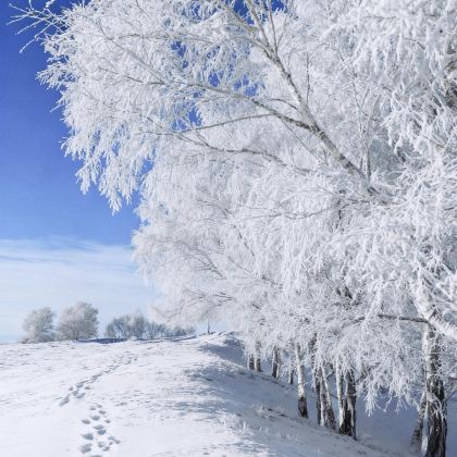 木兰围场+乌兰布统+坝上2日1晚自由行