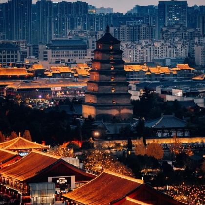 河南郑州+洛阳+陕西西安7日6晚私家团