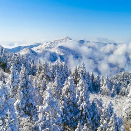 宜昌+神农架风景区+武当山6日5晚私家团