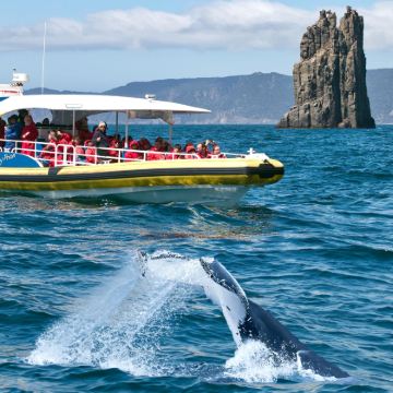 塔斯马尼亚+亚瑟港历史遗址+酒杯湾+摇篮山6日5晚跟团游
