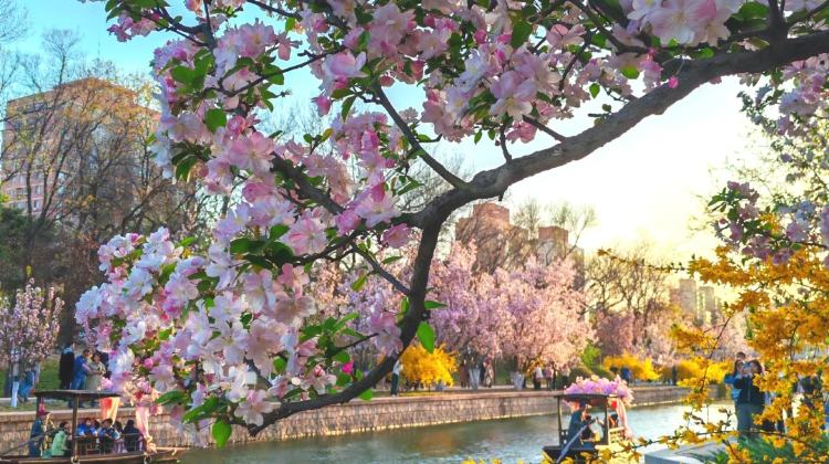 2-Day Beijing + Mutianyu Great Wall + Tiananmen Square + The Palace Museum·  