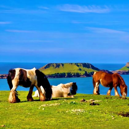 英国伦敦+卡迪夫+斯旺西+彭布罗克郡海岸线国家公园6日5晚私家团