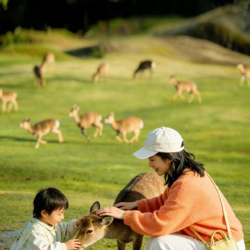 长白山+长白山万达国际度假区5日4晚私家团