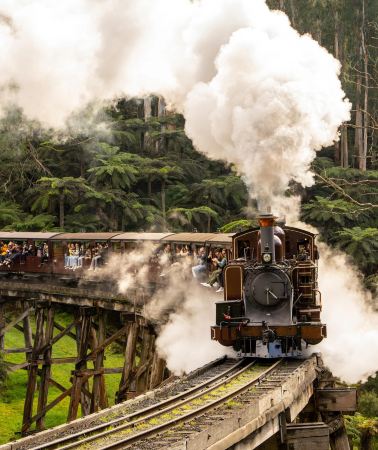 3D2N • Melbourne + Puffing Billy Railway + Phillip Island + Great Ocean Road