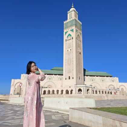 摩洛哥+突尼斯市+撒哈拉沙漠+地中海14日跟团游