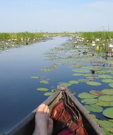 10D9N • 10 Day Northern Botswana & Victoria Falls WildCamping Expedition