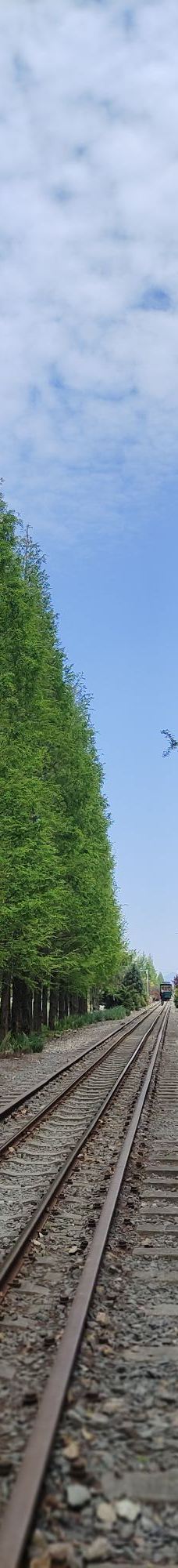 宁波植物园-宁波