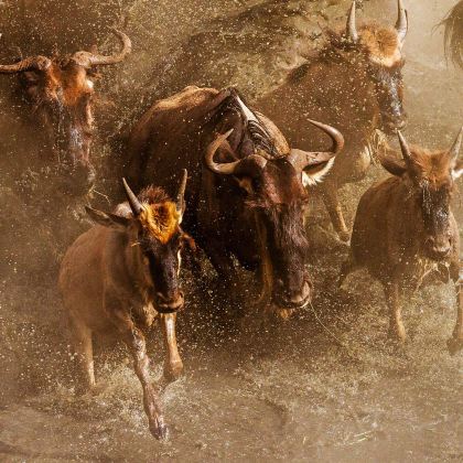 肯尼亚10日跟团游