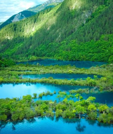 5D4N•Chengdu+Panda+Jiuzhaigou+Huanglong-Round-trip high-speed train tickets included. Adjustable travel days, discount available on inquiry