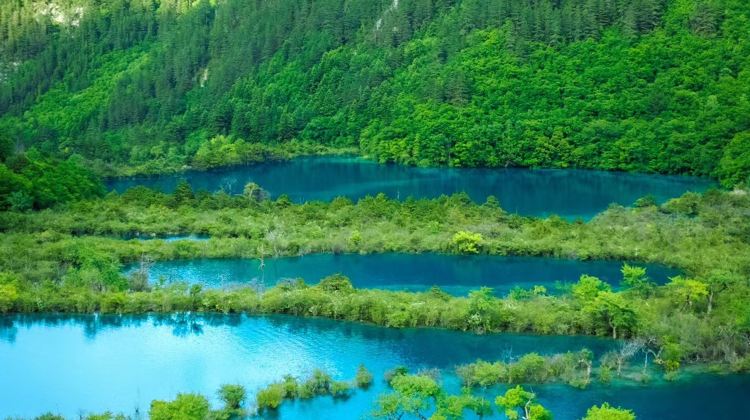 5D4N · Private Tours · Chengdu+Panda+Jiuzhaigou+Huanglong-Round-trip high-speed train tickets included. Adjustable travel days, discount available on inquiry