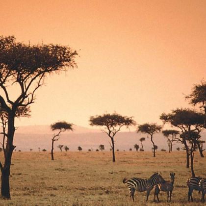 肯尼亚10日9晚私家团