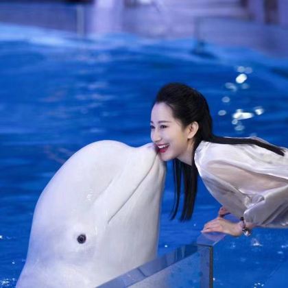 大连+老虎滩海洋公园+大连森林动物园+棒棰岛5日4晚拼小团