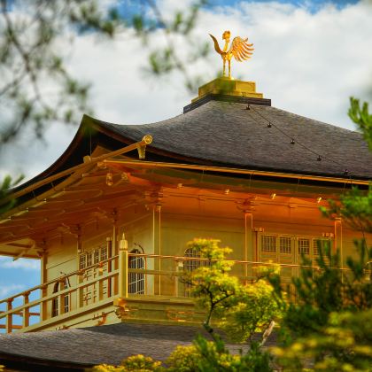 日本大阪+京都+奈良市7日6晚拼小团