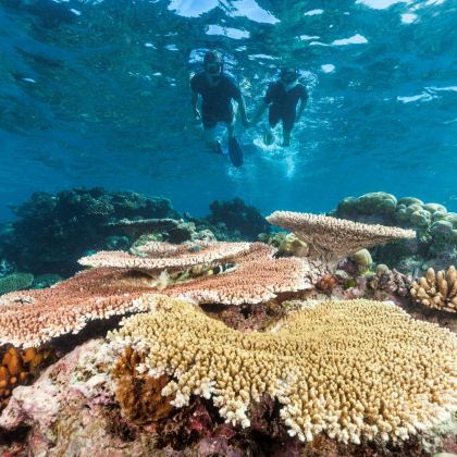 澳大利亚墨尔本+凯恩斯12日10晚自由行