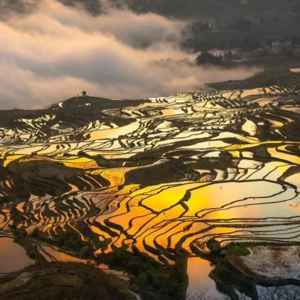 昆明+东川红土地+罗平+坝美世外桃源景区+普者黑景区+河口+蒙自+元阳+建水9日8晚私家团