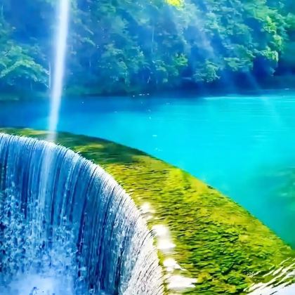 贵州贵阳+百里杜鹃风景区+织金洞2日1晚跟团游