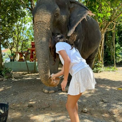 泰国曼谷+清迈7日6晚自由行