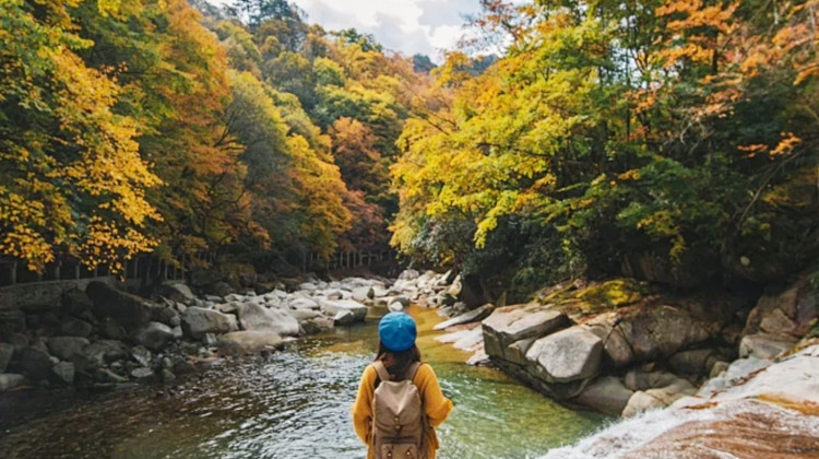 四姑娘山旅行社婚纱旅拍浪漫之旅登顶2025成都旅业榜