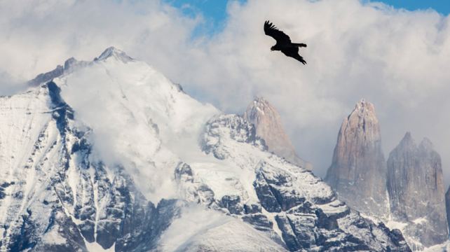 14-Day End of the Earth Tour form Buenos Aires·El Chaltén, Puerto Natales, Torres del Paine, Puerto Natales and Ushuaia