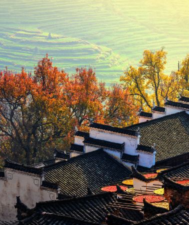 5D4N • Qiandao Lake + Hongcun Village + Xidi + Wuyuan Huangling: Consultation Booking Special Offer