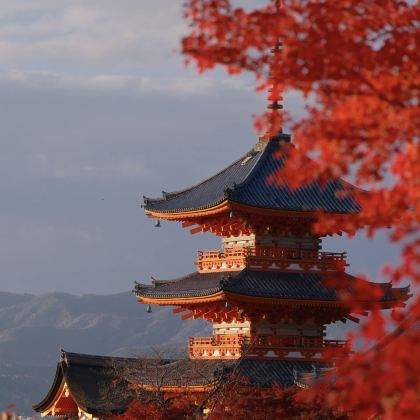 日本大阪+奈良+京都5日4晚拼小团