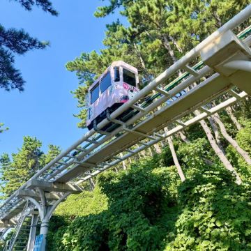 韩国首尔+釜山5日4晚拼小团