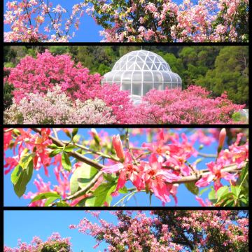 广东汕头+南澳岛+潮州+福建土楼+厦门6日5晚私家团