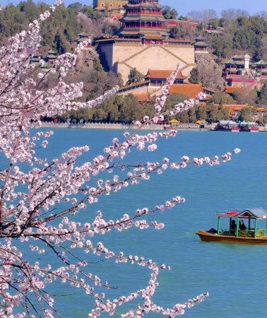 7D6N • Exclusive 9–person no–shopping pure sightseeing small–group tour to explore Beijing & Badaling Great Wall with Palace Museum tickets bookable 8 days early