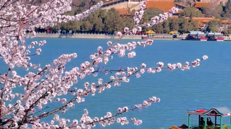 7D6N · Group Tours · China + Beijing + The Palace Museum + Badaling Great Wall