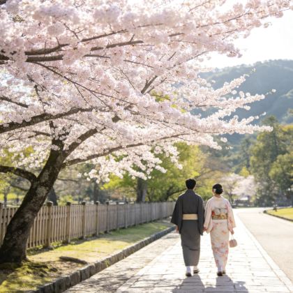 日本大阪+奈良市+京都+箕面市+神户+鸟取市8日7晚私家团