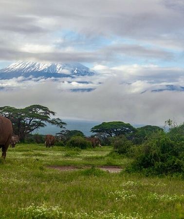 2D1N • 2 Days Amboseli Safari