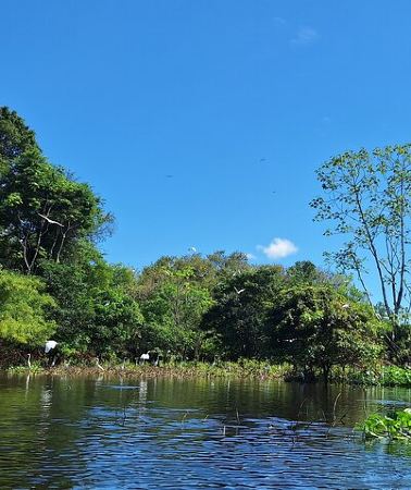 3D2N • Amazon Untamed Expedition 3 Days and 2 Nights pacaya samiria