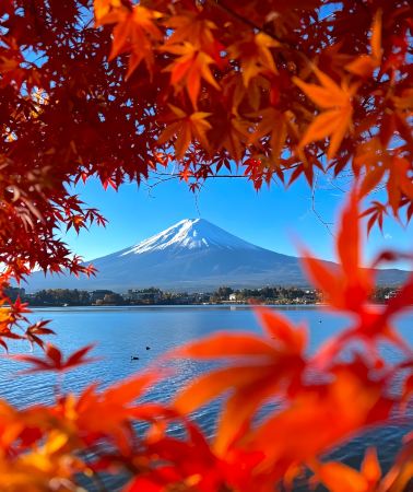 2天1晚 • 富士山＋河口湖、絕美列車之旅「富士山景觀特急」、新倉山淺間公園、明治之森·高尾山、御殿場 Outlets、大石公園