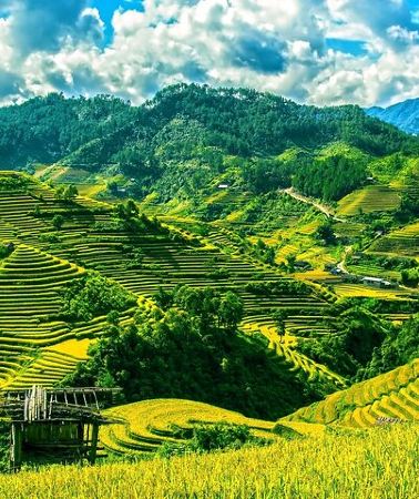 2D1N • SAPA: 2 DAYS Walking & 1 night at Homestay with LOCAL GUIDE