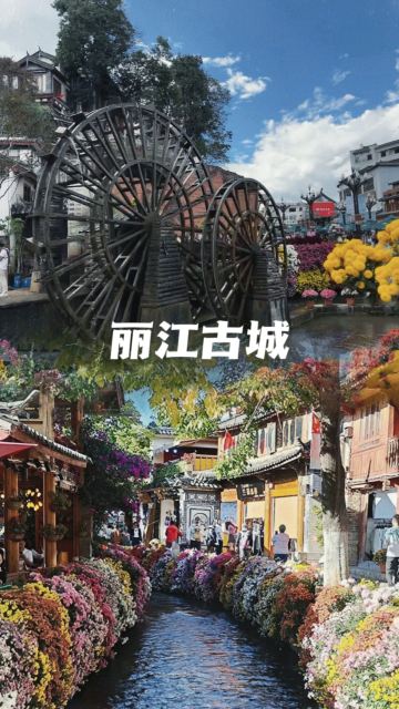 携程旅游>昆明旅游>昆明滇池 大理市洱海 丽江玉龙雪山 石林风景区6日