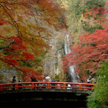 日本大阪+奈良+京都+箕面市+神户+鸟取+大阪海游馆+奈良公园+姬路城+六甲山+春日大社+足立美术馆8日7晚私家团