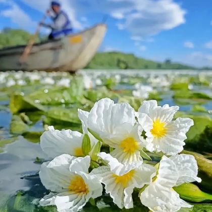 昆明+大理市+丽江+泸沽湖8日7晚私家团