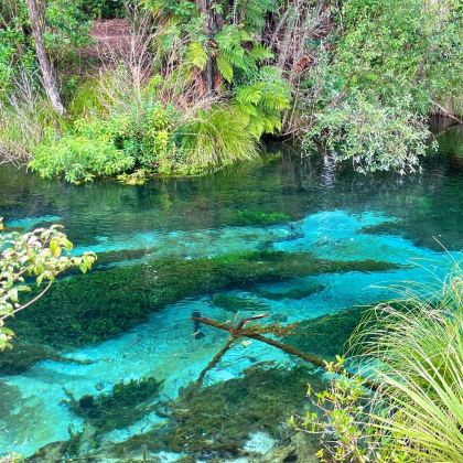 新西兰9日7晚拼小团