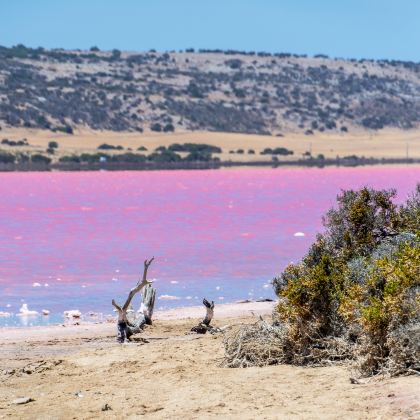 澳大利亚阿德莱德7日6晚私家团