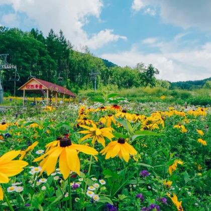 哈尔滨+长白山+镜泊湖风景区6日5晚自由行