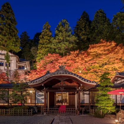 日本名古屋6日5晚私家团