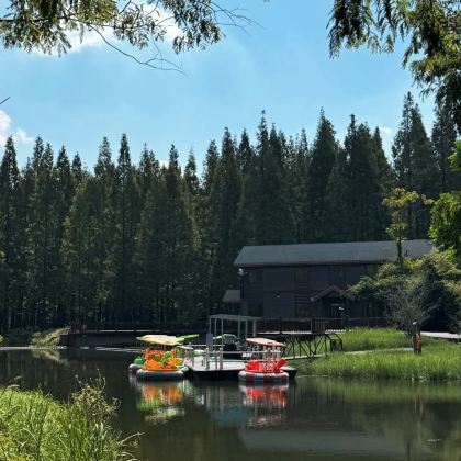 盐镇水街+丹顶鹤湿地生态旅游区+南通+南通狼山风景名胜区+淮安府署7日6晚私家团