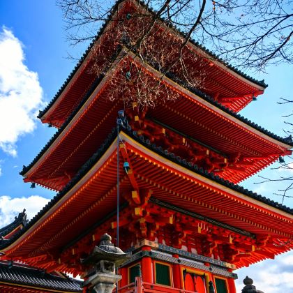 日本东京+富士河口湖町+日本乐高乐园+京都+大阪8日7晚拼小团