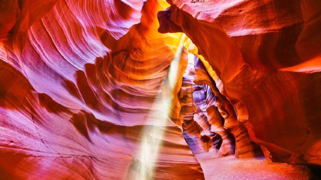 <4天>【景點多、住五星酒店、價格不漲、性價比高】暢遊美西國家公園·羚羊彩穴+大峽谷+錫安+布萊斯峽谷+馬蹄灣｜免費升級2晚拉斯楓丹白露酒店、可選舊金山往返或洛杉磯出