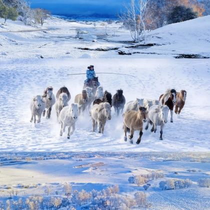 张家口+坝上+承德5日4晚自由行