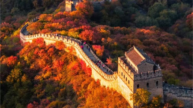 3-Day Golden autumn Beijing's royal classics: Palace Museum + Great Wall + Temple of Heaven + Summer Palace– Excellent English tour guide, Reserved Tickets & Doorstep Pickup