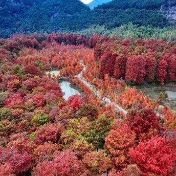 河南信阳+太行山4日3晚私家团